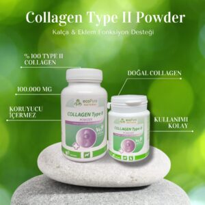 Collagen Type II  % 100 saf kollojen 100g - Görsel 4