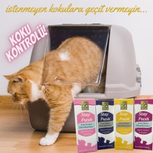 Stayfresh Cat Litter Deodorizer Active Carbon - Görsel 3