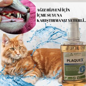 PlaqueX® - Tartar&Plak Engelleyici - Görsel 4