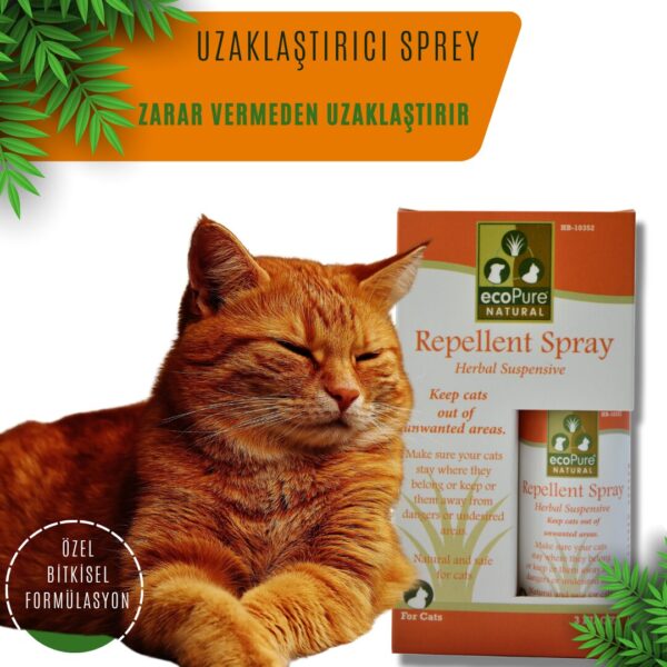 REPELLENT-CAT.jpg