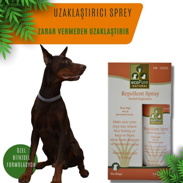 REPELLENT-DOG.jpg