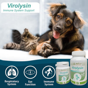 Virolysin® Cat - Görsel 3