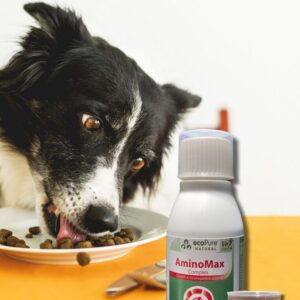 AminoMax®Liquid aminoasit takviyesi Dog & Cat 100ml - Görsel 3