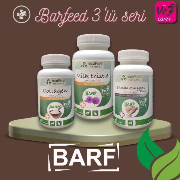 barfeed-3-lu2-1.jpg