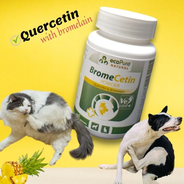 bromelain.jpg
