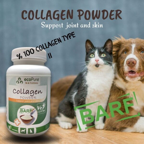 collagen-barf-1000-x-1000-piksel-Kopyasi-1.jpg