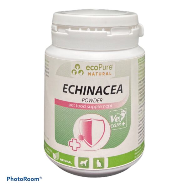 echinesea.jpg