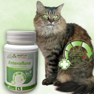 Enteroflora Powder® Cat 30g - Görsel 4