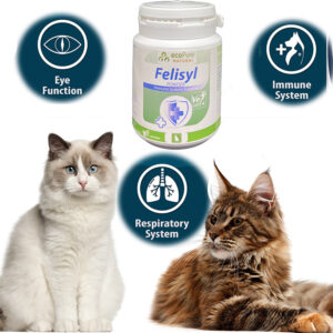 Felisyl ®Kedi Bağışıklık Güçlendirici 50 g - Görsel 4