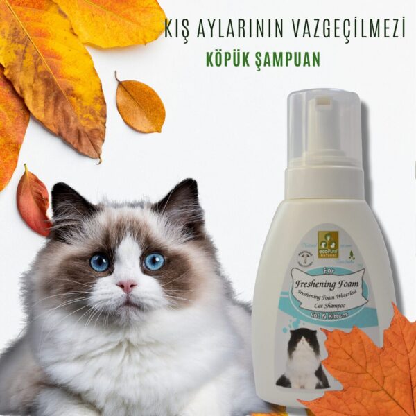 freshening-foam-cat-png.jpg