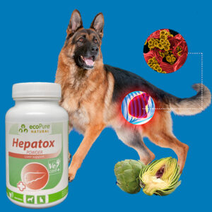 Hepatox® Powder Dog & Cat 40g - Görsel 4