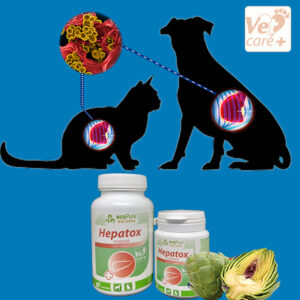 Hepatox® Powder Dog & Cat 40g - Görsel 3
