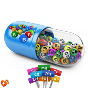 Kedi ve köpekler için vitamin mineral takviyesi