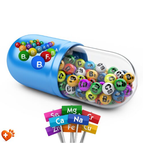 Kedi ve köpekler için vitamin mineral takviyesi