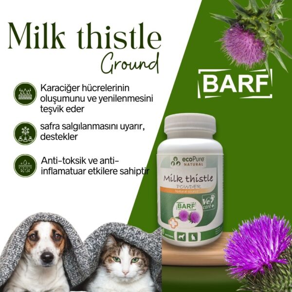 milk-thistle-barf-1000-x-1000-piksel-Kopyasi.jpg