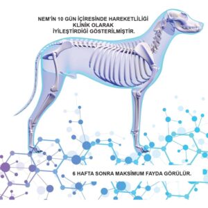 NEMFLEX ® Powder Dog 90g - Görsel 3