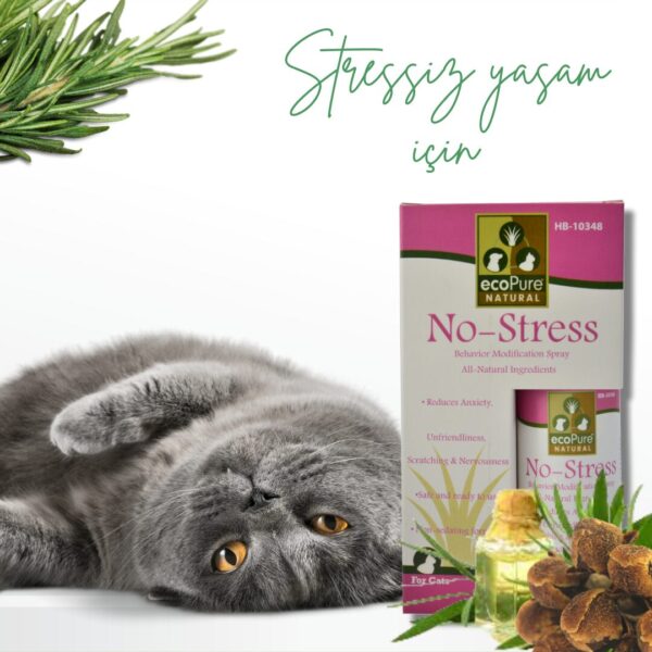 no-stress-png.jpg
