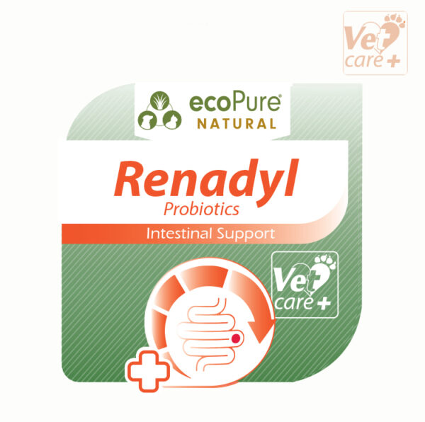 renadyl.jpg