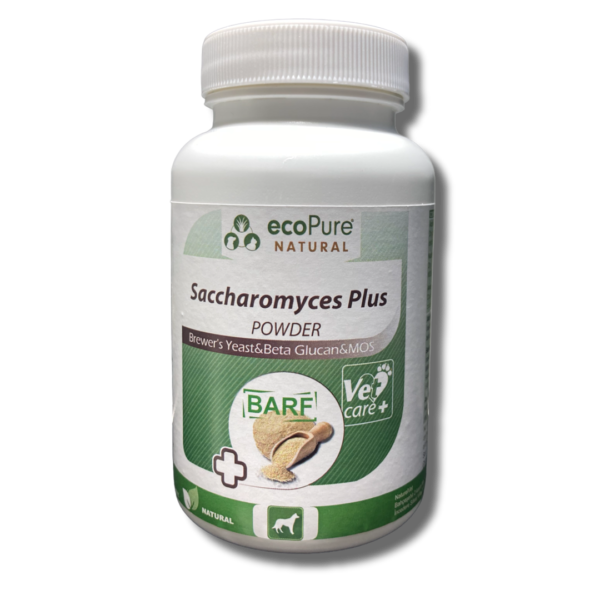 saccharomyces.png