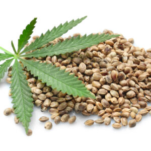 BARFeed Hemp seed Powder®Dog & Cat 100g - Görsel 3