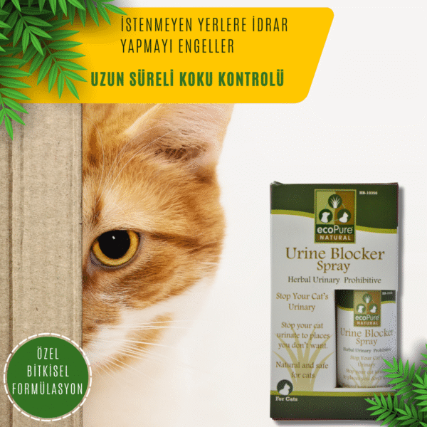 urine-blocker-cat.png