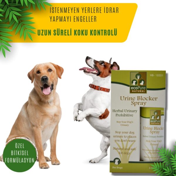 urine-blocker-dog.jpg