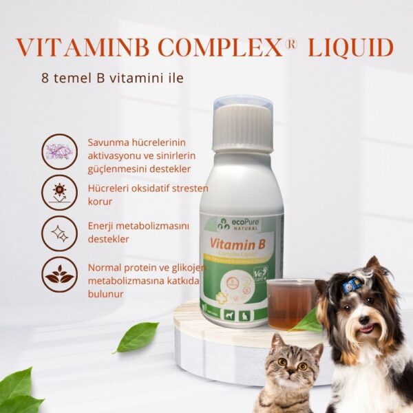 vitamimn-b-likit-1000-x-1000-piksel-Kopyasi.jpg