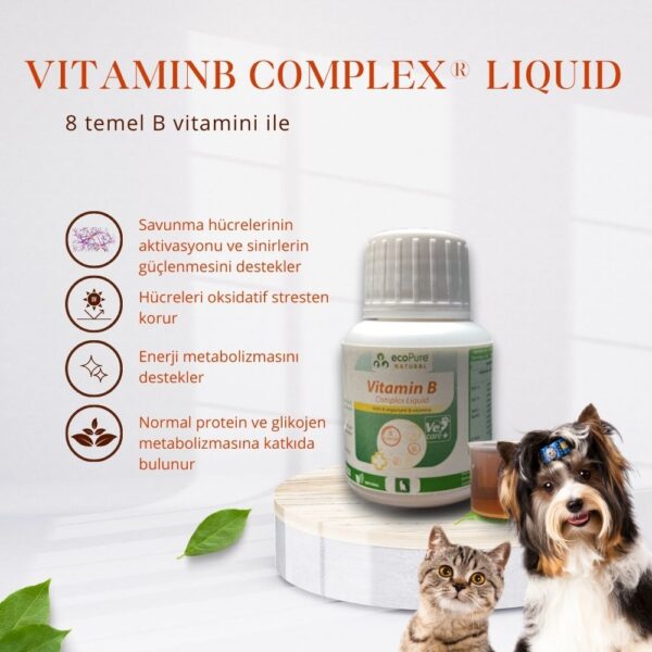vitamimn-b-likit-40ml-1000-x-1000-piksel-Kopyasi.jpg